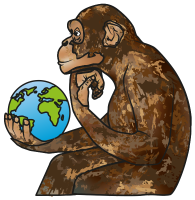 singe singe